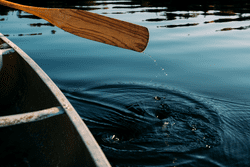 A canoe paddle propels a canoe across a body of water.