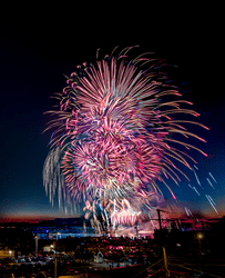 Fireworks explode against the dark sky of dusk.