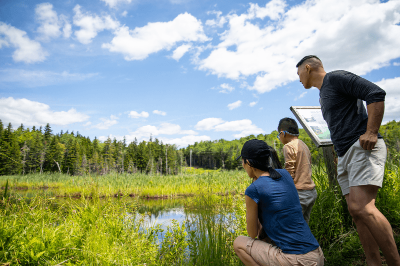 A family stands next to a pond looking down at the water.