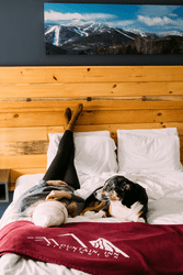 A person lays next to a dog on a bed. The person is rests on their back with their feet up against the wall.