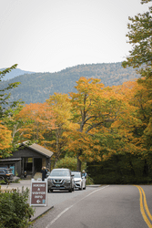 Cars stopped at the side of a road with yellow and orange trees in the background.