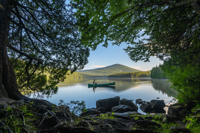 The view between two trees of a person canoeing on a lake.