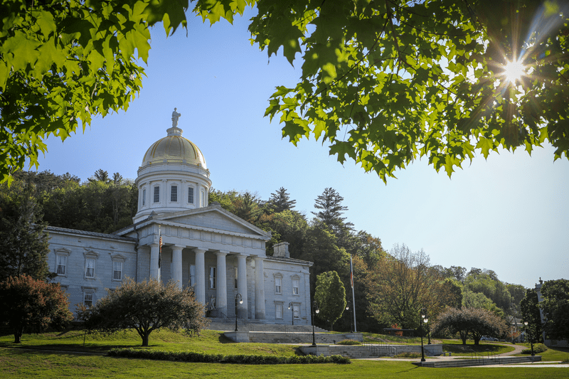 A golden dome with a marble statue on top. Trees are visible in the foreground and the sky is blue.