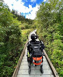 A person in a wheelchair on a boardwalk seen from behind moving along the trail in the summer.