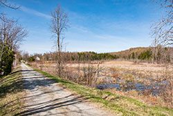 An even, level gravel path next to a marsh on a sunny day.