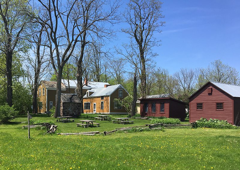 A grassy area with trees lined with three historic buildings.