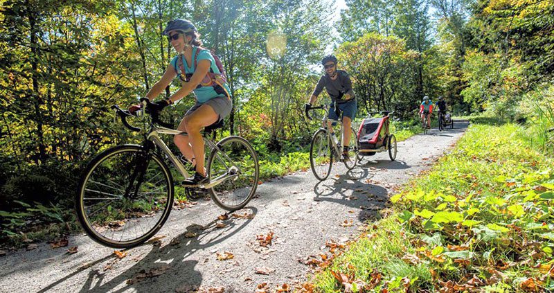 Two people ride bikes on a path outside in summer.