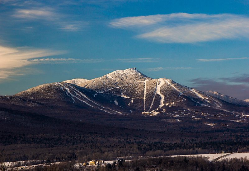 A snowy mountain with trees under a blue sky.