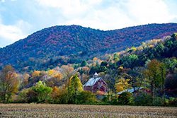 A red barn with trees with fall foliage behind.