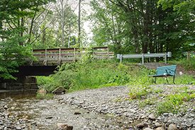 A bench sits next to a small stream and a road in the woods.