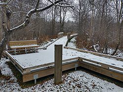 A snowy path winds through the woods in the winter.