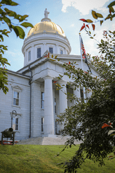 A large, white capitol building with a golden dome on a sunny day.