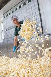 A close-up of cheesemaker tossing cheese curds using a shovel-like tool.