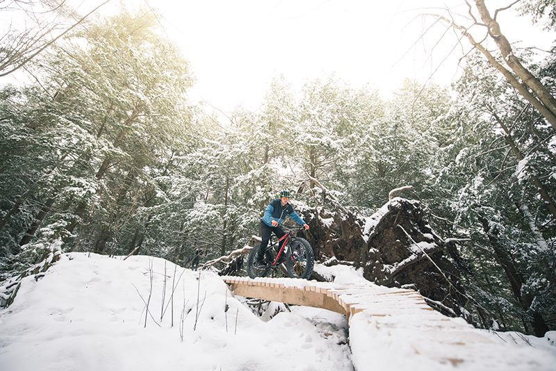 A person bikes on a boardwalk in a forest covered with snow.